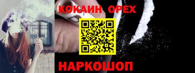 шишки Будённовск