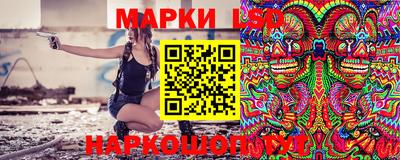 шишки Будённовск