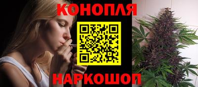 шишки Будённовск
