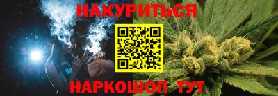 шишки Будённовск