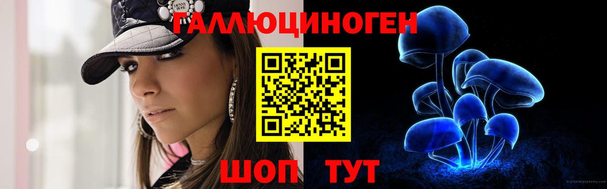 Галлюциногенные грибы Psilocybe Татарск